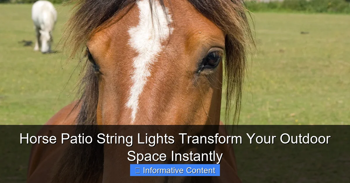 Horse Patio String Lights Transform Your Outdoor Space Instantly