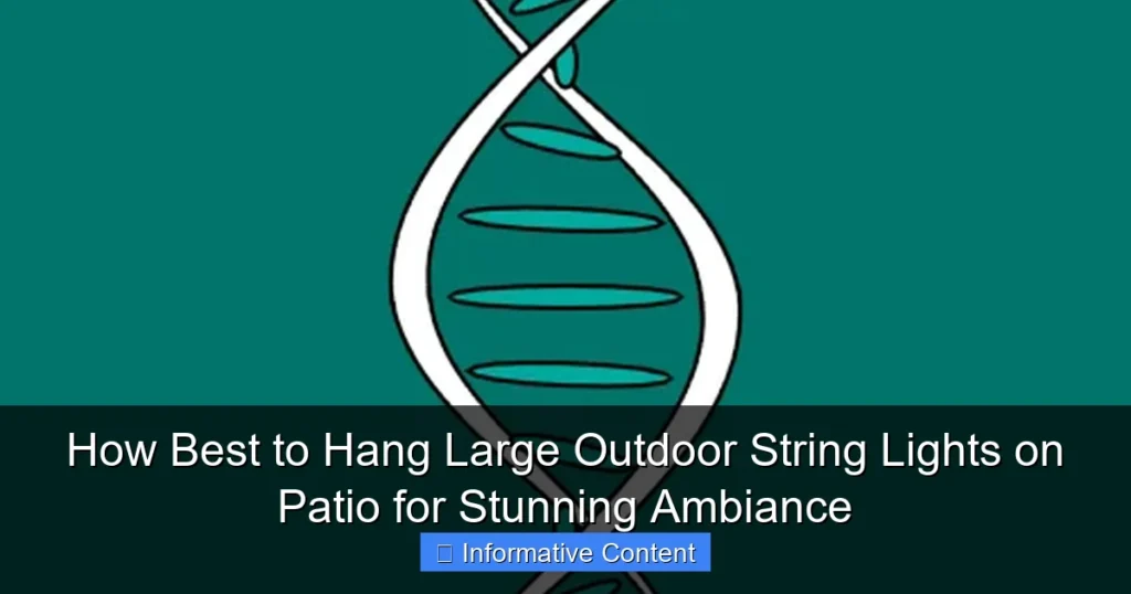 How Best to Hang Large Outdoor String Lights on Patio for Stunning Ambiance