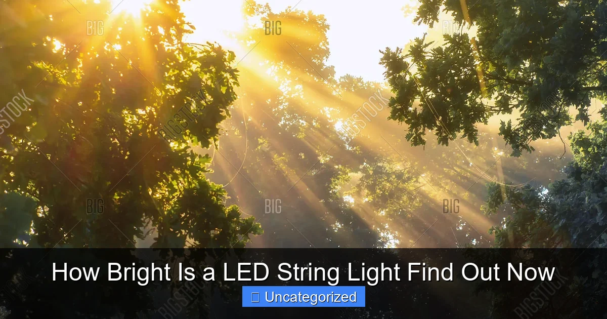 How Bright Is a LED String Light Find Out Now