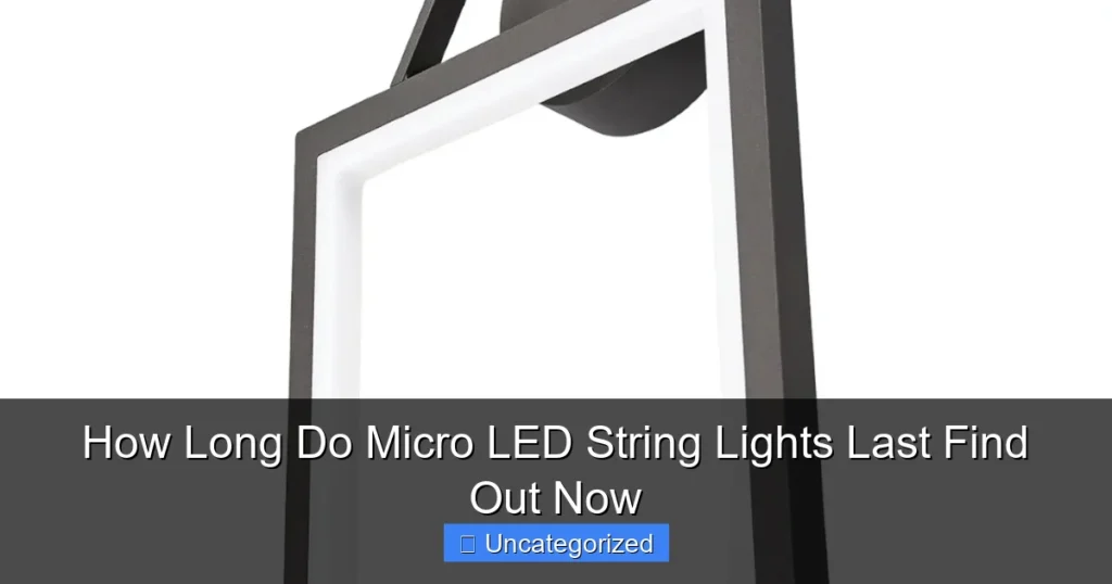 How Long Do Micro LED String Lights Last Find Out Now