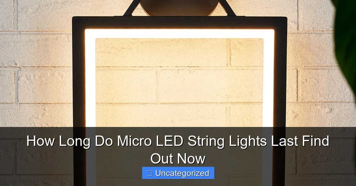 How Long Do Micro LED String Lights Last Find Out Now