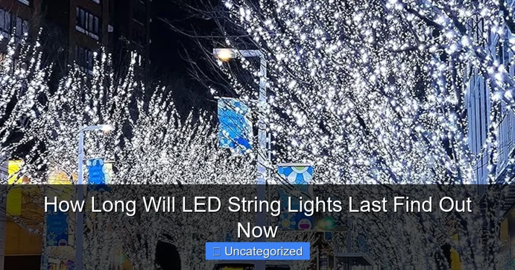 How Long Will LED String Lights Last Find Out Now