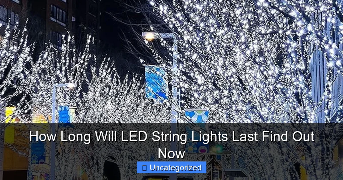 How Long Will LED String Lights Last Find Out Now