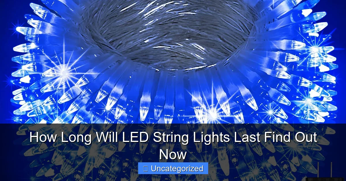 How Long Will LED String Lights Last Find Out Now
