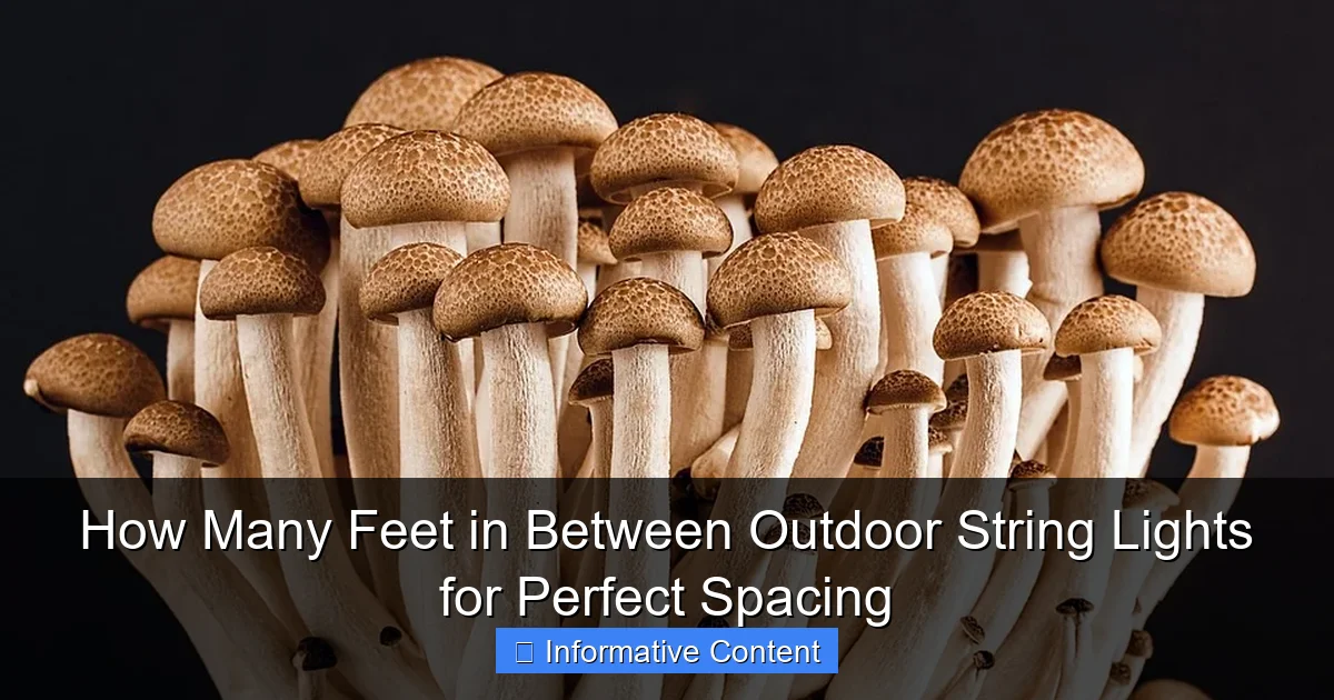 How Many Feet in Between Outdoor String Lights for Perfect Spacing