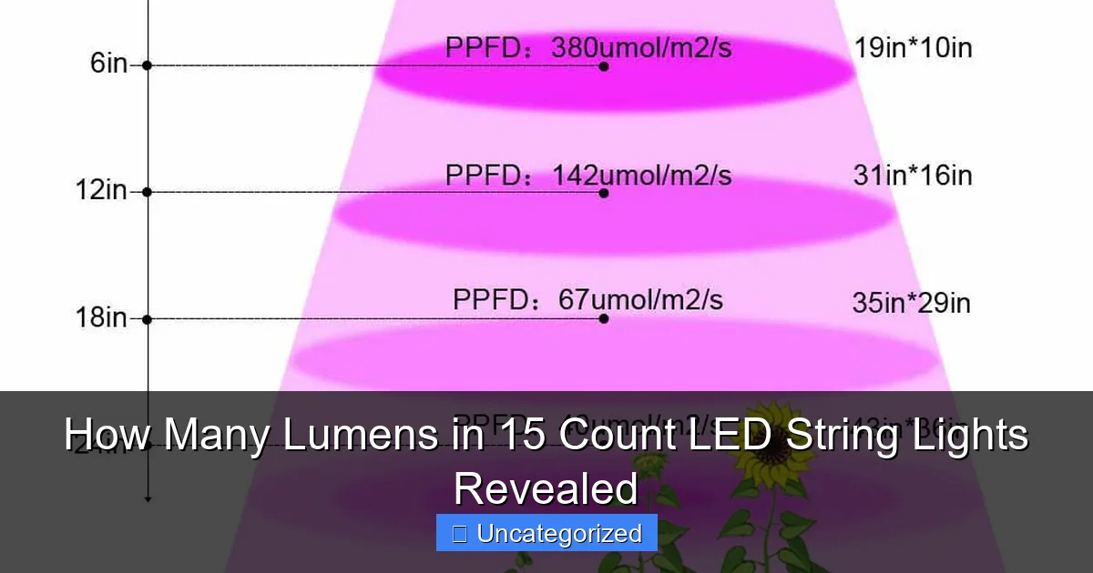 How Many Lumens in 15 Count LED String Lights Revealed