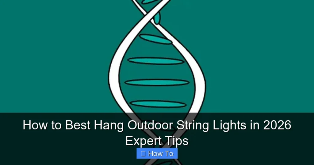 How to Best Hang Outdoor String Lights in 2026 Expert Tips