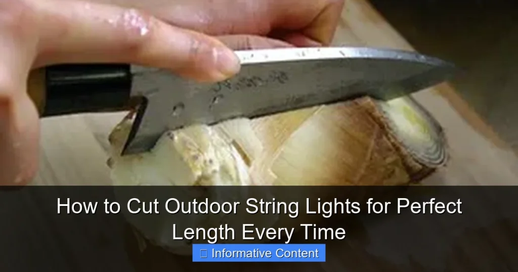 How to Cut Outdoor String Lights for Perfect Length Every Time