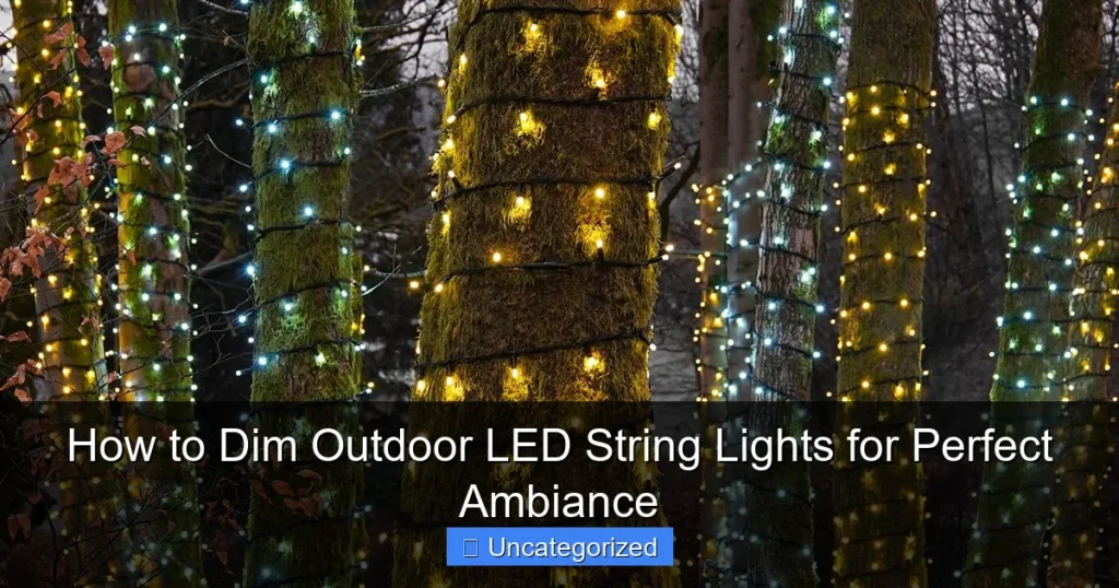 How to Dim Outdoor LED String Lights for Perfect Ambiance