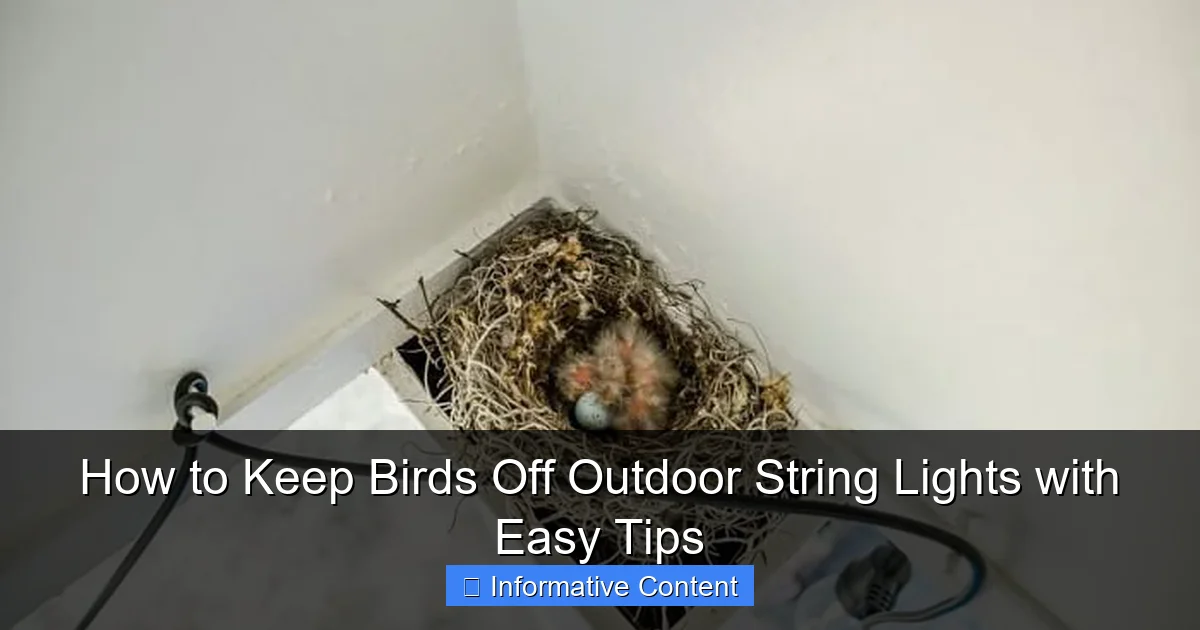 How to Keep Birds Off Outdoor String Lights with Easy Tips