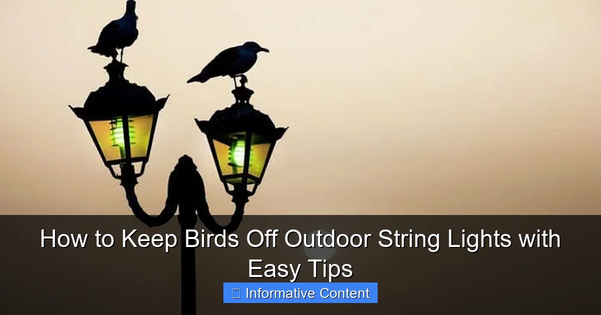 How to Keep Birds Off Outdoor String Lights with Easy Tips