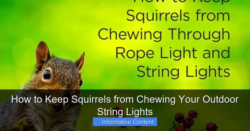 How to Keep Squirrels from Chewing Your Outdoor String Lights