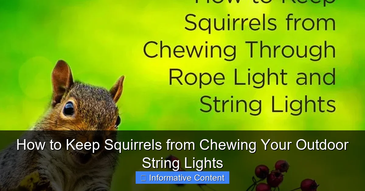 How to Keep Squirrels from Chewing Your Outdoor String Lights