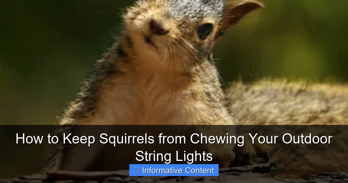 How to Keep Squirrels from Chewing Your Outdoor String Lights