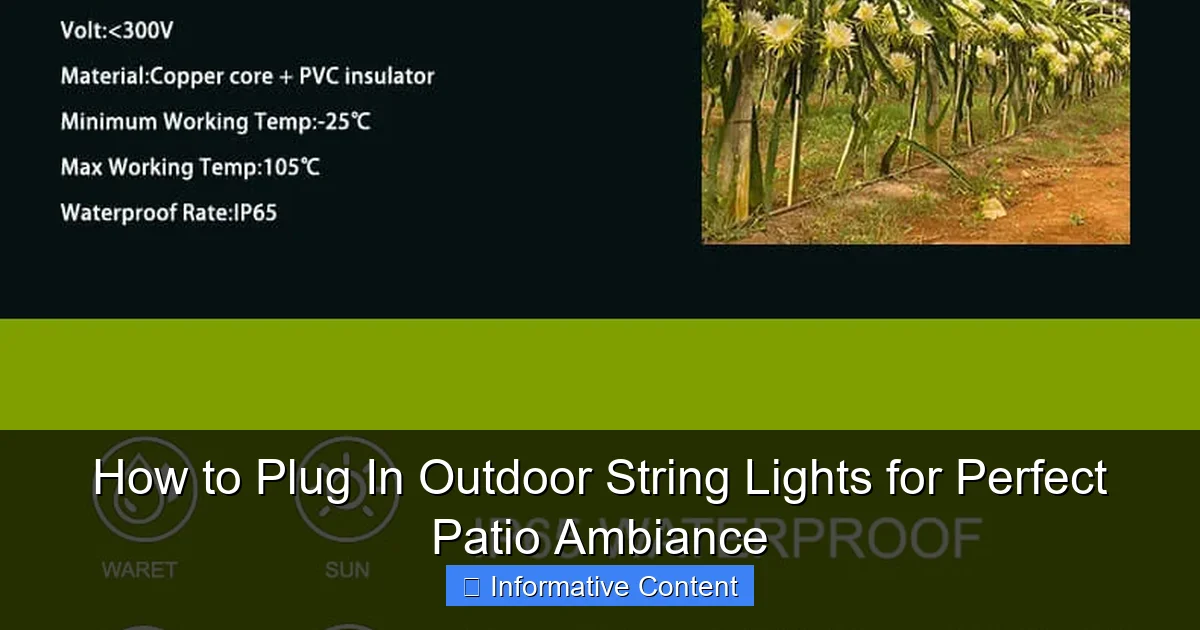 How to Plug In Outdoor String Lights for Perfect Patio Ambiance