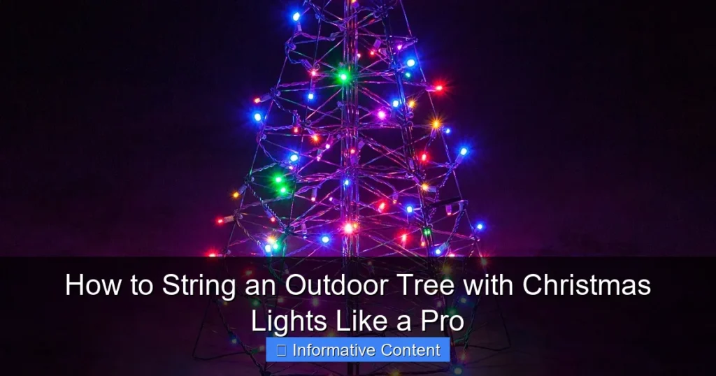 How to String an Outdoor Tree with Christmas Lights Like a Pro
