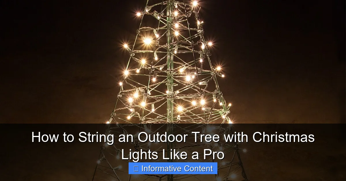 How to String an Outdoor Tree with Christmas Lights Like a Pro