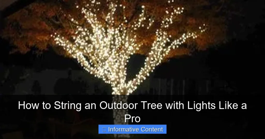 How to String an Outdoor Tree with Lights Like a Pro