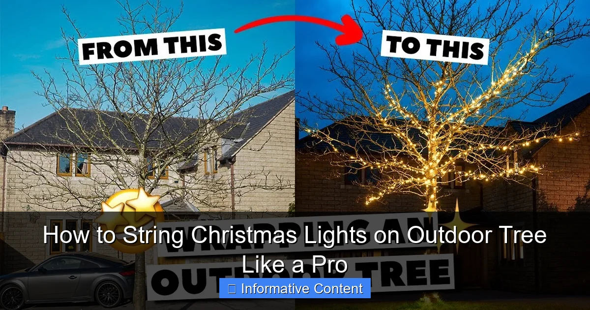 How to String Christmas Lights on Outdoor Tree Like a Pro