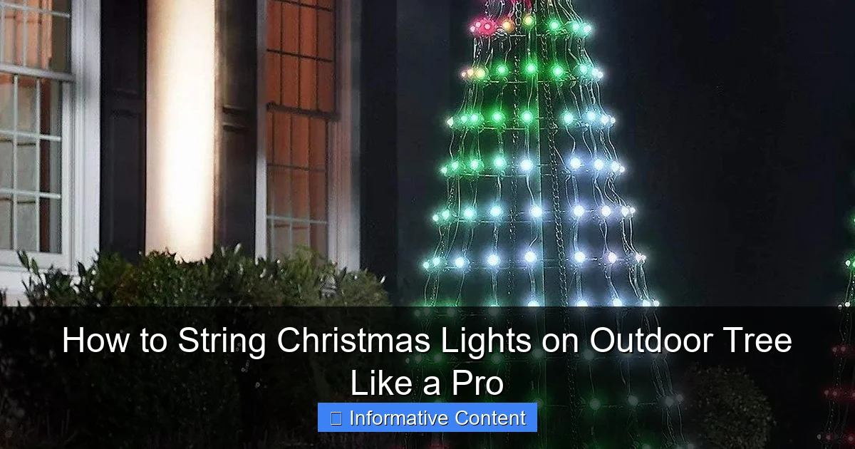 How to String Christmas Lights on Outdoor Tree Like a Pro