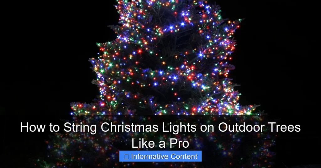 How to String Christmas Lights on Outdoor Trees Like a Pro