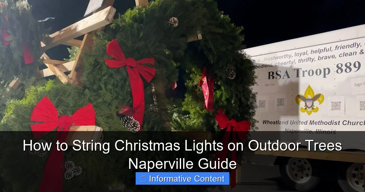 How to String Christmas Lights on Outdoor Trees Naperville Guide