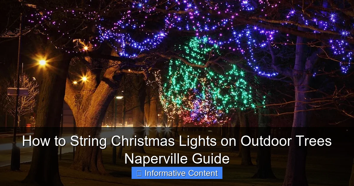 How to String Christmas Lights on Outdoor Trees Naperville Guide