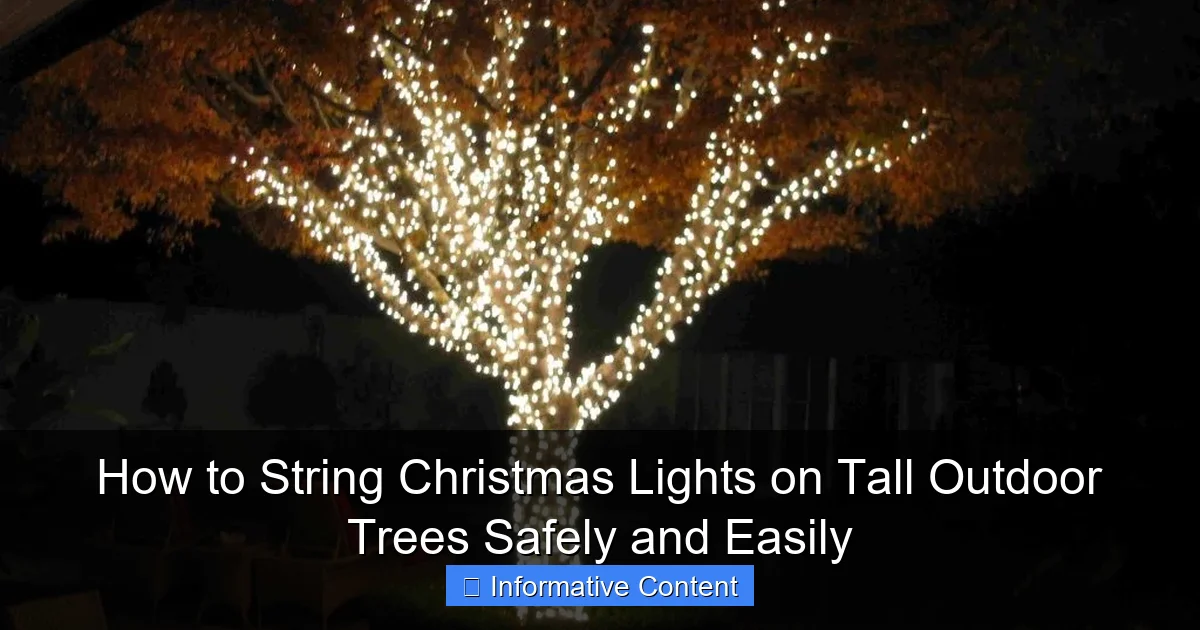 How to String Christmas Lights on Tall Outdoor Trees Safely and Easily