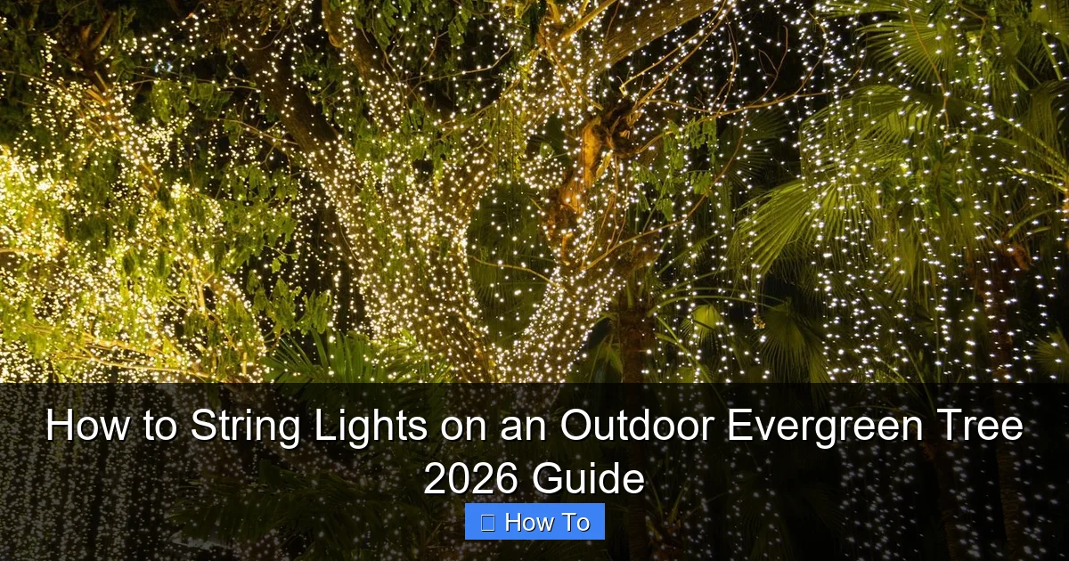 How to String Lights on an Outdoor Evergreen Tree 2026 Guide