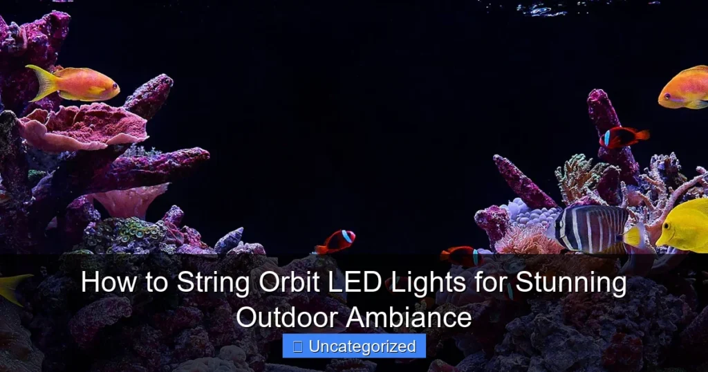 How to String Orbit LED Lights for Stunning Outdoor Ambiance