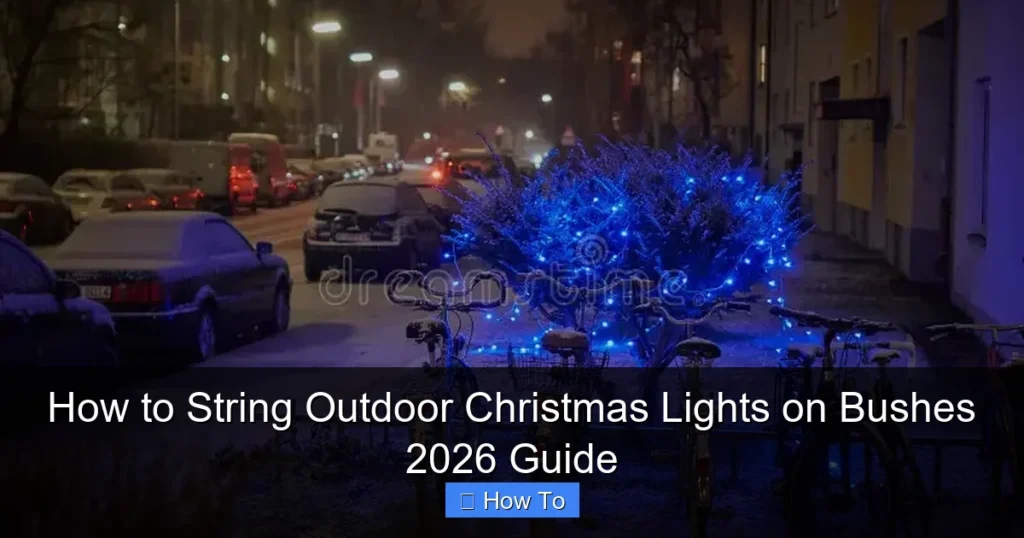 How to String Outdoor Christmas Lights on Bushes 2026 Guide