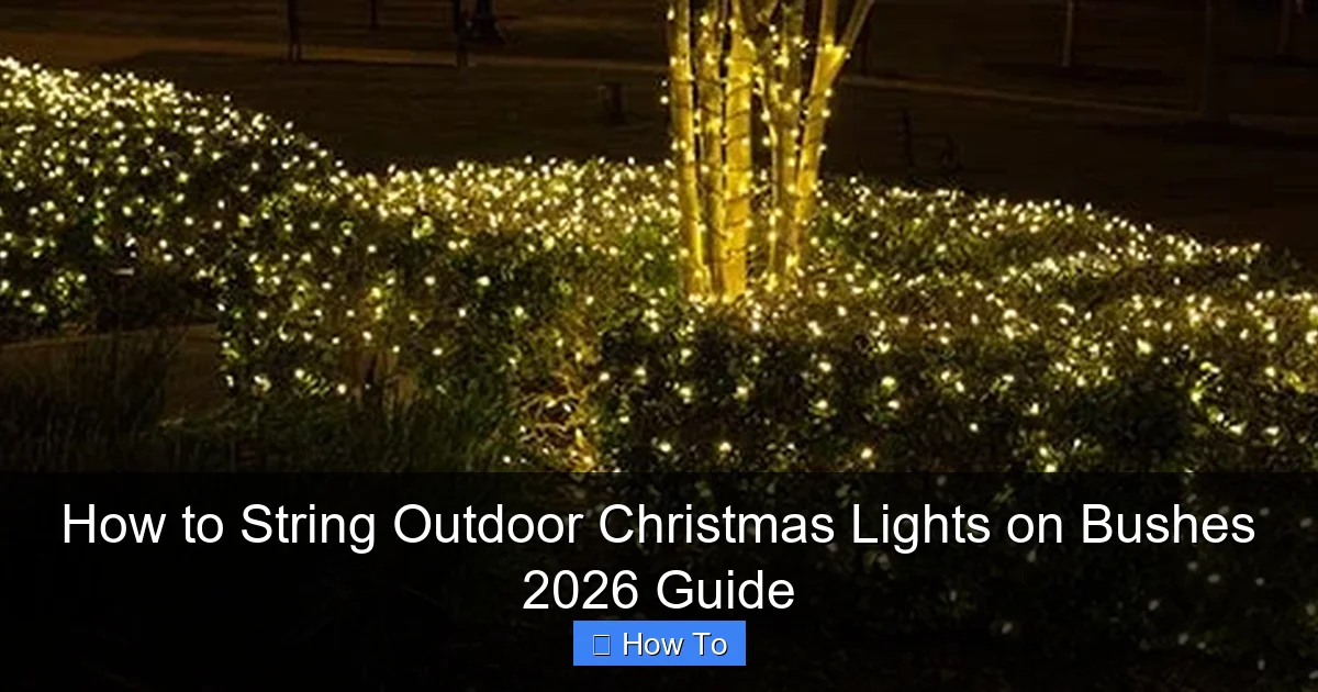 How to String Outdoor Christmas Lights on Bushes 2026 Guide