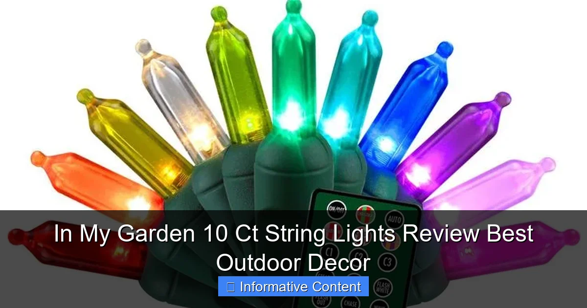 In My Garden 10 Ct String Lights Review Best Outdoor Decor