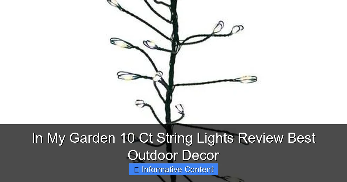 In My Garden 10 Ct String Lights Review Best Outdoor Decor