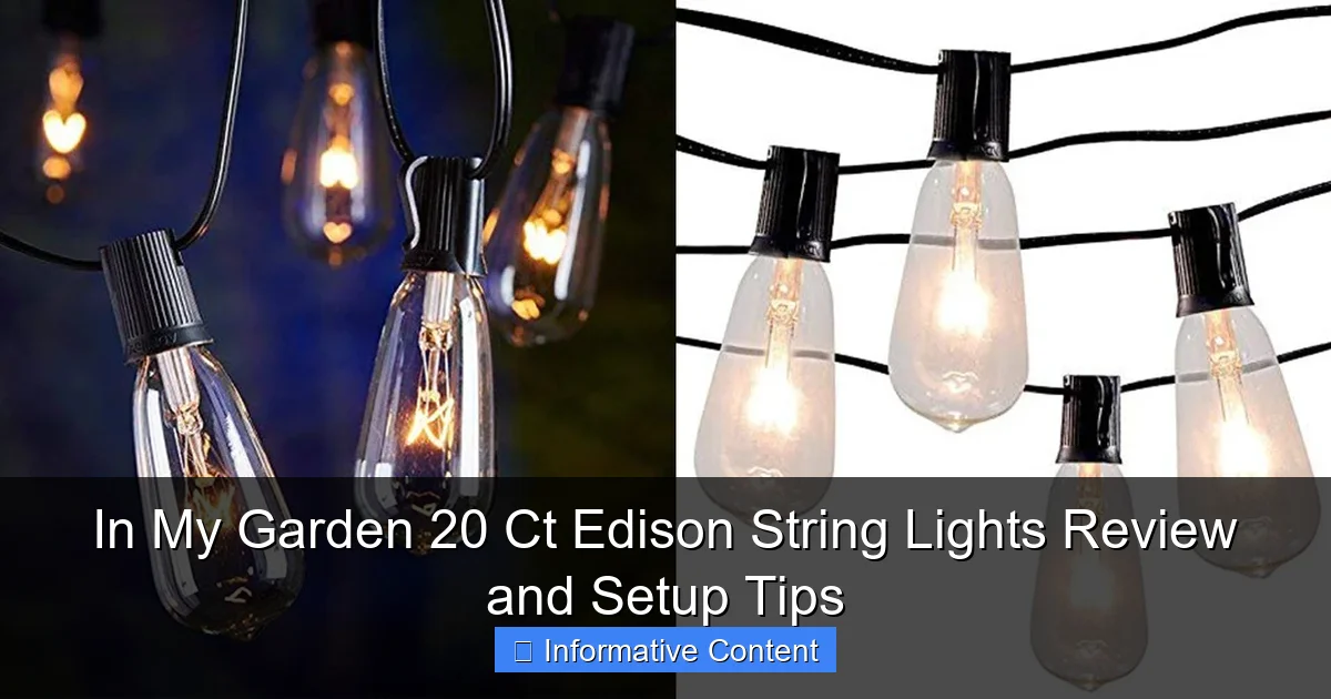 In My Garden 20 Ct Edison String Lights Review and Setup Tips