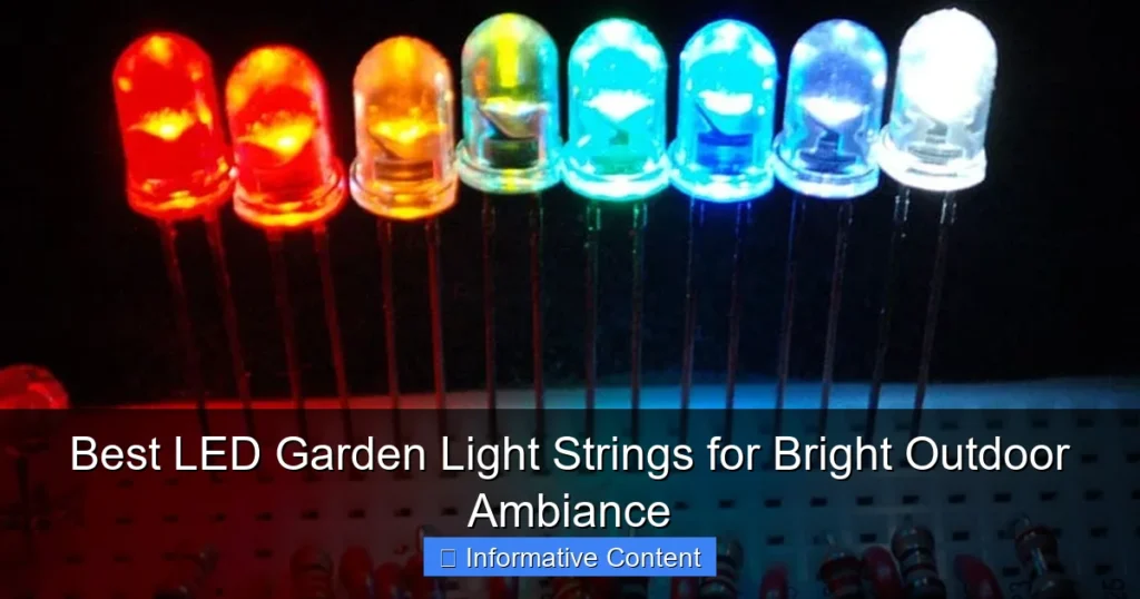 Best LED Garden Light Strings for Bright Outdoor Ambiance