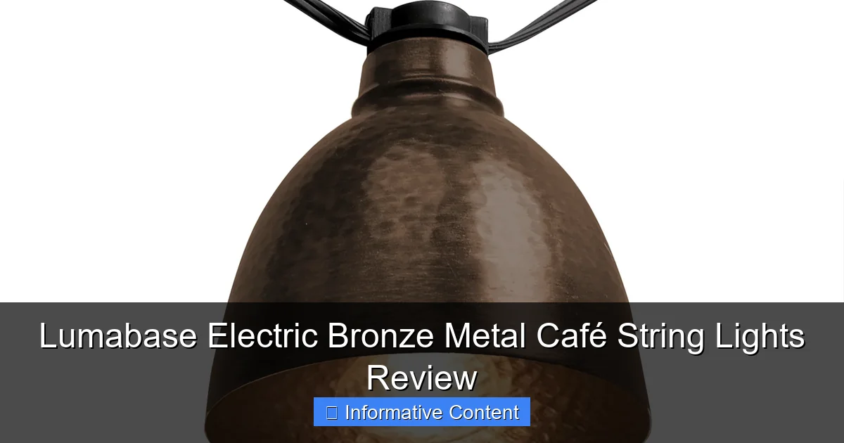 Lumabase Electric Bronze Metal Café String Lights Review