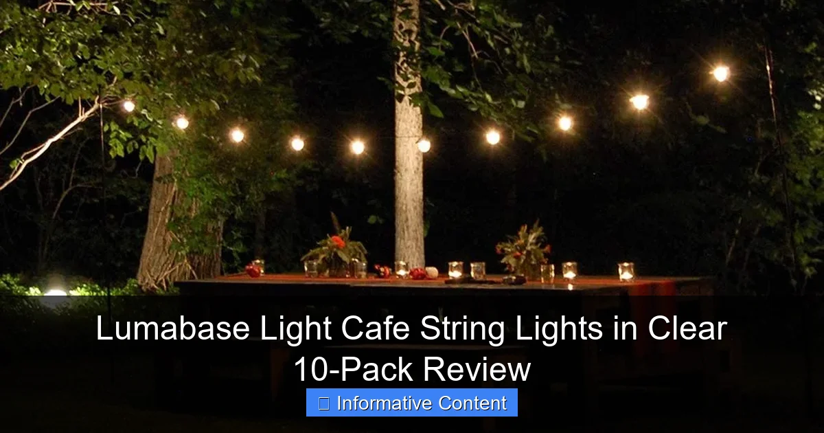 Lumabase Light Cafe String Lights in Clear 10-Pack Review