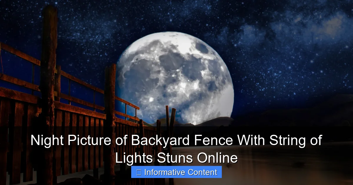 Night Picture of Backyard Fence With String of Lights Stuns Online