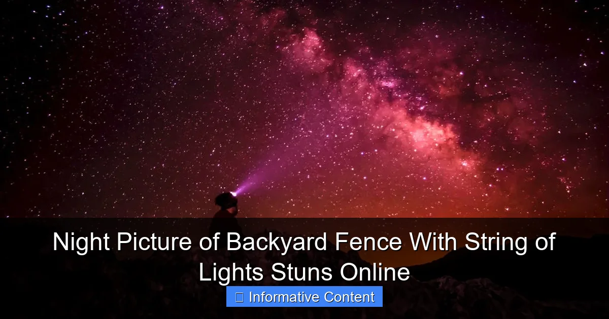 Night Picture of Backyard Fence With String of Lights Stuns Online