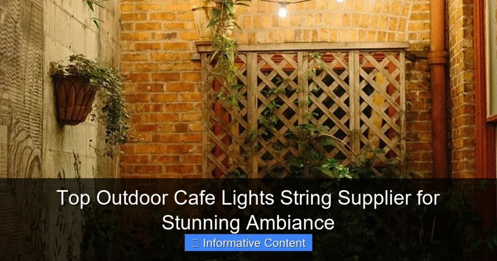 Top Outdoor Cafe Lights String Supplier for Stunning Ambiance