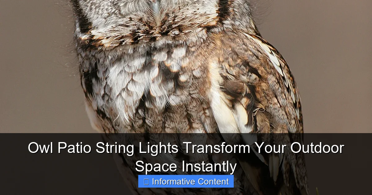 Owl Patio String Lights Transform Your Outdoor Space Instantly