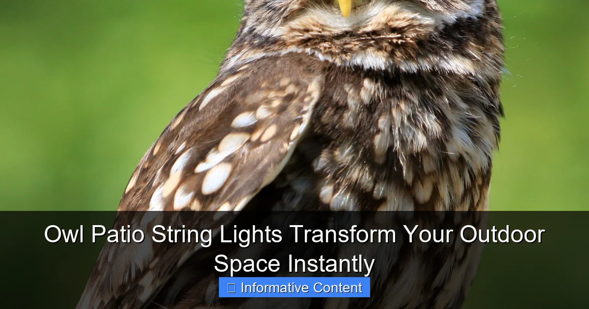Owl Patio String Lights Transform Your Outdoor Space Instantly