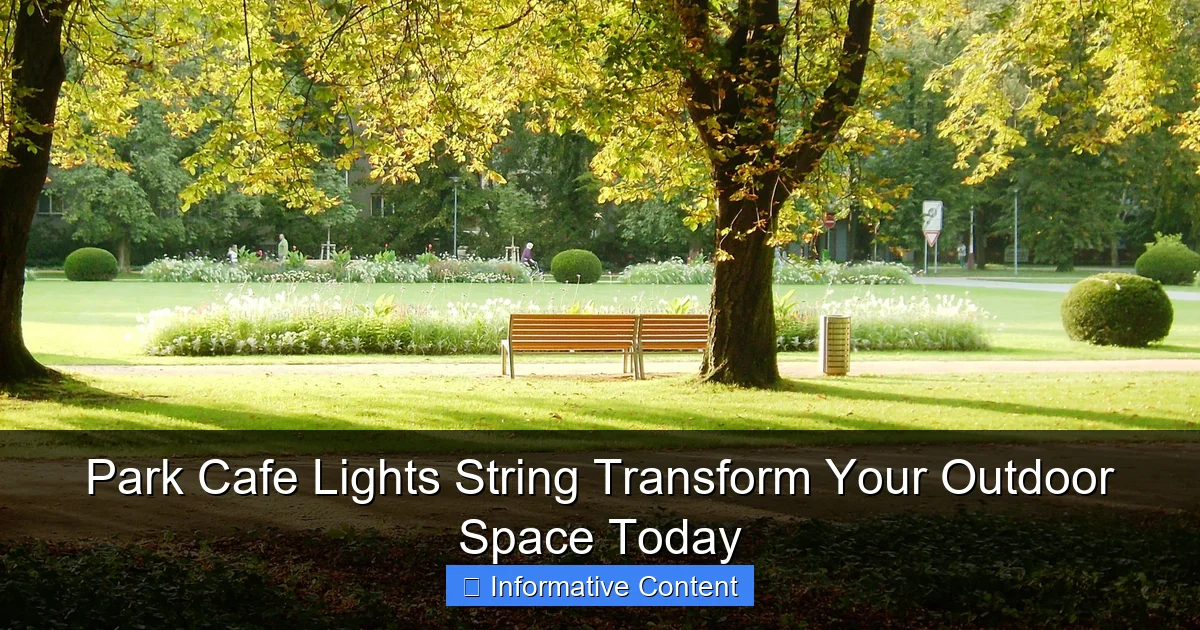 Park Cafe Lights String Transform Your Outdoor Space Today