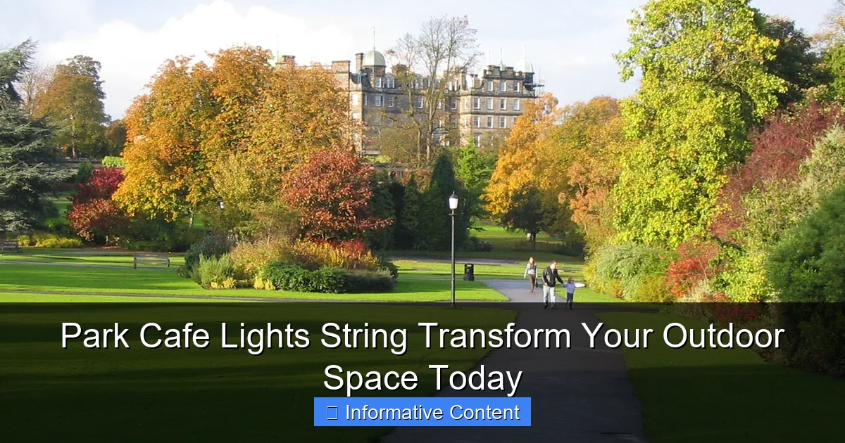 Park Cafe Lights String Transform Your Outdoor Space Today