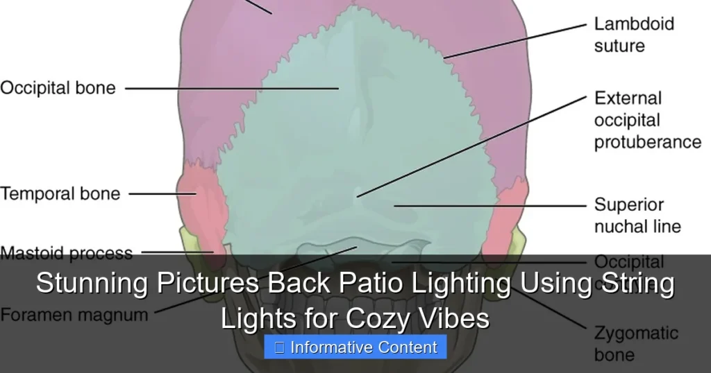 Stunning Pictures Back Patio Lighting Using String Lights for Cozy Vibes