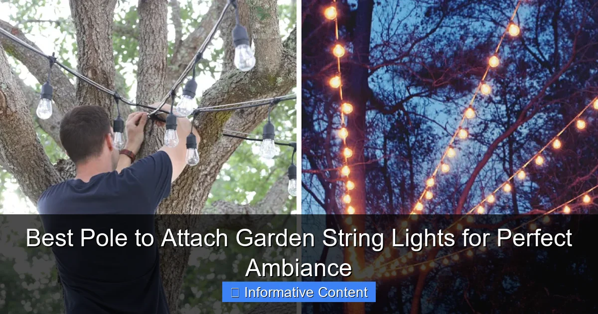 Best Pole to Attach Garden String Lights for Perfect Ambiance