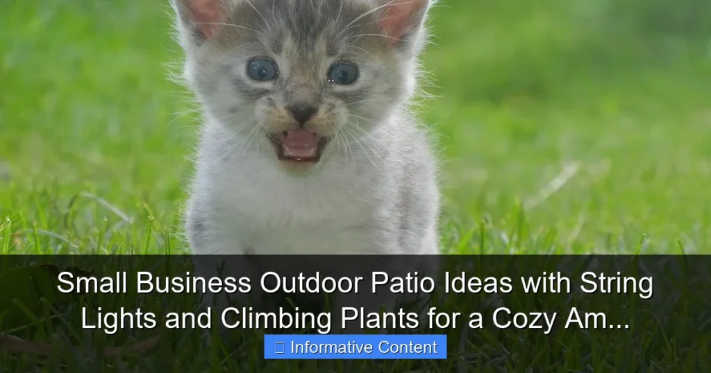 Small Business Outdoor Patio Ideas with String Lights and Climbing Plants for a Cozy Am...
