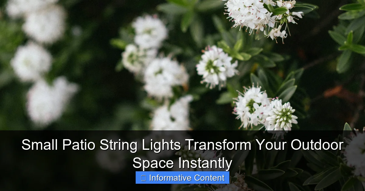 Small Patio String Lights Transform Your Outdoor Space Instantly