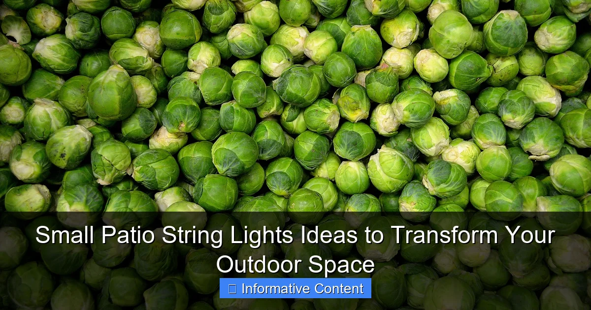 Small Patio String Lights Ideas to Transform Your Outdoor Space